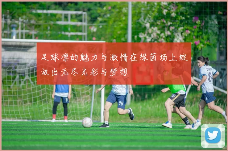 足球凛的魅力与激情在绿茵场上绽放出无尽光彩与梦想