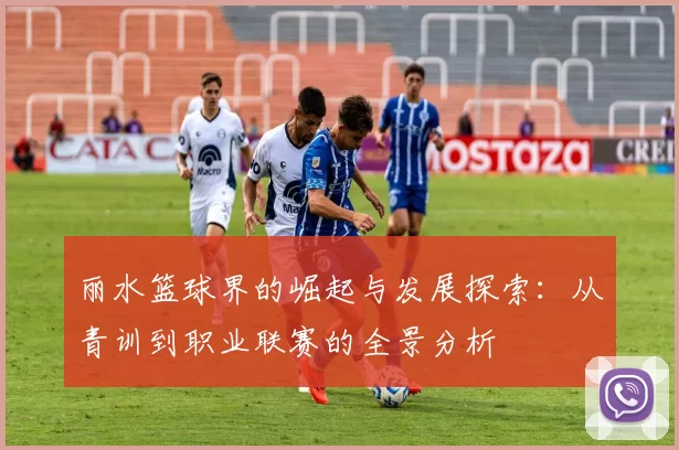 丽水篮球界的崛起与发展探索：从青训到职业联赛的全景分析