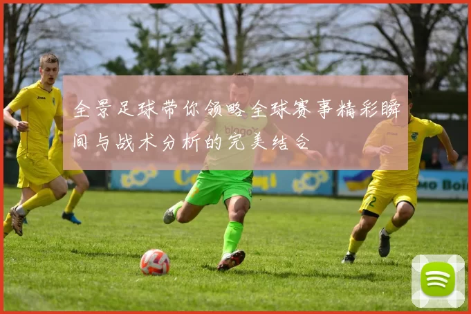 全景足球带你领略全球赛事精彩瞬间与战术分析的完美结合