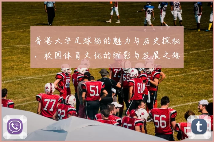 香港大学足球场的魅力与历史探秘，校园体育文化的缩影与发展之路