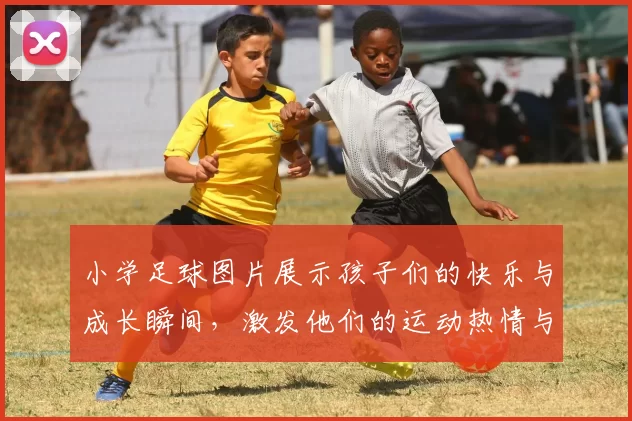 小学足球图片展示孩子们的快乐与成长瞬间，激发他们的运动热情与团队合作精神