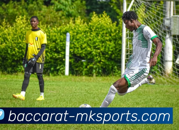 mk体育发展历程