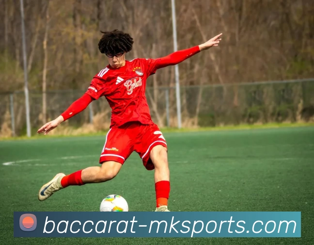 全景足球带你领略全球赛事精彩瞬间与战术分析的完美结合